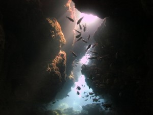 dive_img004