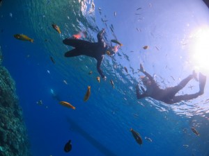 snorkelling_img003