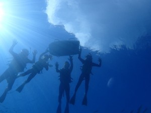 snorkelling_img004