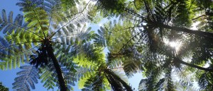 top_bg005