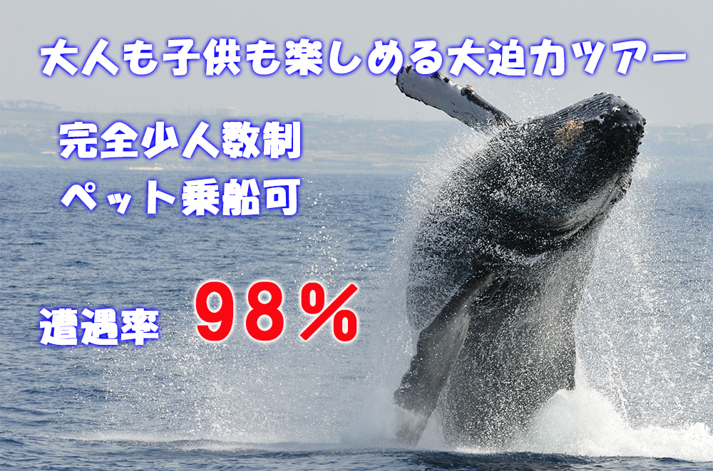 ホエールウォッチング