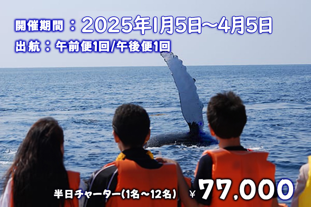 ホエールウォッチング