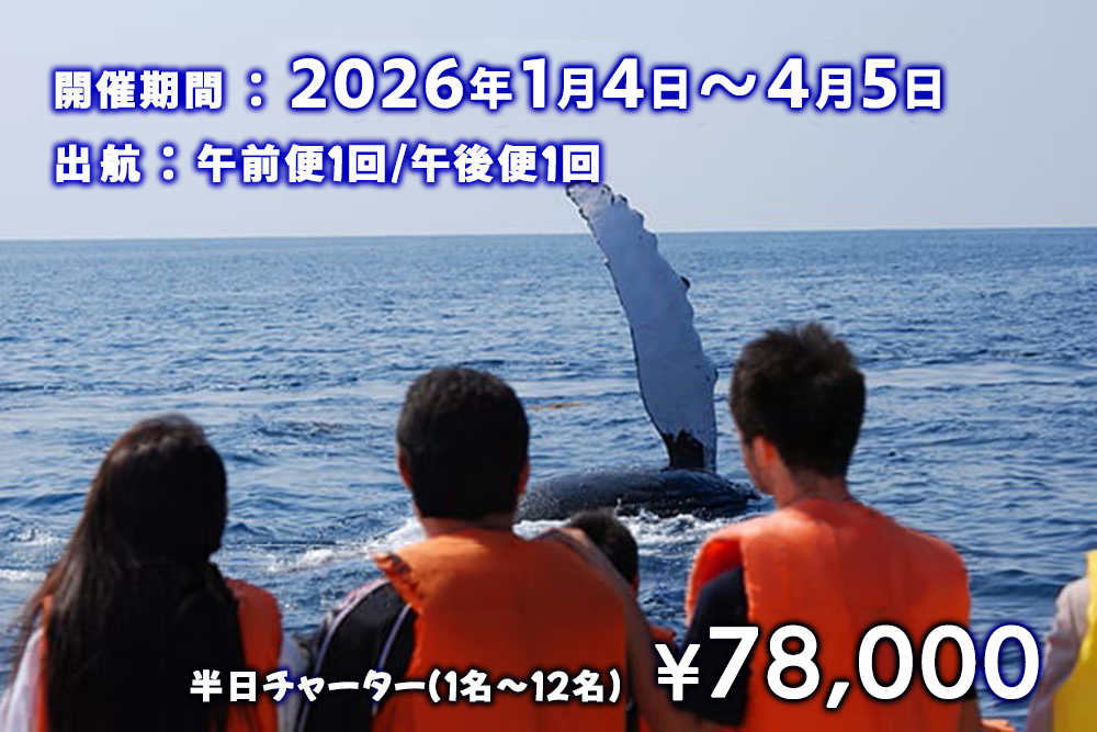 ホエールウォッチング